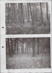 Ewidencja parkowa, skan nr 31