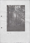 Ewidencja parkowa, skan nr 32