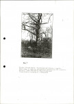 Ewidencja parkowa, skan nr 30