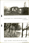 Ewidencja parkowa, skan nr 38