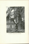 Ewidencja parkowa, skan nr 13