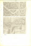 Ewidencja parkowa, skan nr 55