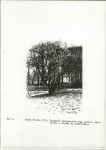 Ewidencja parkowa, skan nr 14