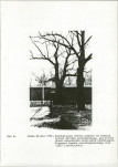Ewidencja parkowa, skan nr 17