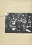 Ewidencja parkowa, skan nr 26