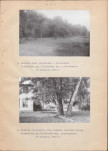 EP - Ewidencja parkowa, skan nr 15