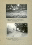 Ewidencja parkowa, skan nr 16