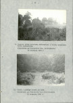 Ewidencja parkowa, skan nr 18