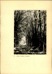 Ewidencja parkowa, skan nr 29
