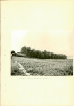 EP - Ewidencja parkowa, skan nr 36
