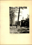 Ewidencja parkowa, skan nr 30