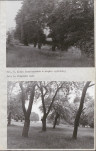 EP - Ewidencja parkowa, skan nr 33