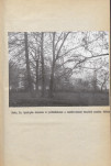 Ewidencja parkowa, skan nr 25