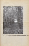 Ewidencja parkowa, skan nr 27