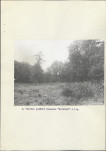 Ewidencja parkowa, skan nr 34