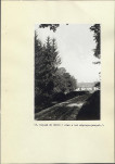 EP - Ewidencja parkowa, skan nr 43