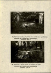 Ewidencja parkowa, skan nr 21