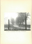 EP - Ewidencja parkowa, skan nr 33