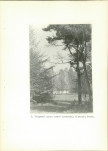 Ewidencja parkowa, skan nr 29