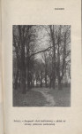 Ewidencja parkowa, skan nr 17