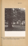 Ewidencja parkowa, skan nr 16