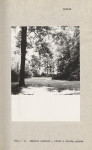 Ewidencja parkowa, skan nr 15