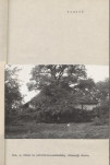 Ewidencja parkowa, skan nr 15