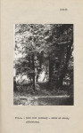Ewidencja parkowa, skan nr 15
