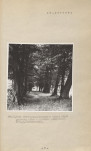 Ewidencja parkowa, skan nr 11