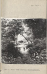Ewidencja parkowa, skan nr 14