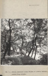 Ewidencja parkowa, skan nr 16