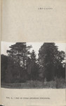 Ewidencja parkowa, skan nr 16