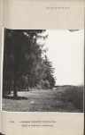 Ewidencja parkowa, skan nr 14