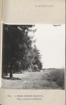 Ewidencja parkowa, skan nr 16