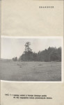 Ewidencja parkowa, skan nr 10