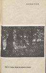 Ewidencja parkowa, skan nr 17
