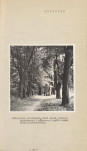 Ewidencja parkowa, skan nr 15