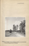 Ewidencja parkowa, skan nr 19