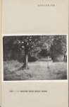 Ewidencja parkowa, skan nr 15