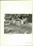 Ewidencja parkowa, skan nr 25