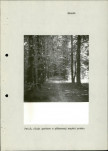 Ewidencja parkowa, skan nr 15