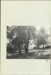 Ewidencja parkowa, skan nr 16