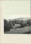 Ewidencja parkowa, skan nr 19