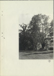 Ewidencja parkowa, skan nr 20