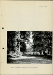 Ewidencja parkowa, skan nr 19