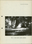 Ewidencja parkowa, skan nr 16