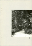 Ewidencja parkowa, skan nr 30