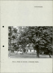 Ewidencja parkowa, skan nr 11