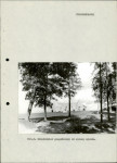 Ewidencja parkowa, skan nr 13