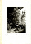 EP - Ewidencja parkowa, skan nr 46